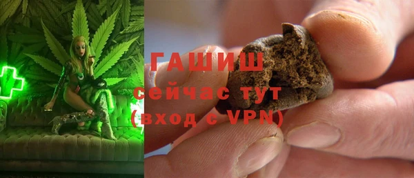 индика Абаза
