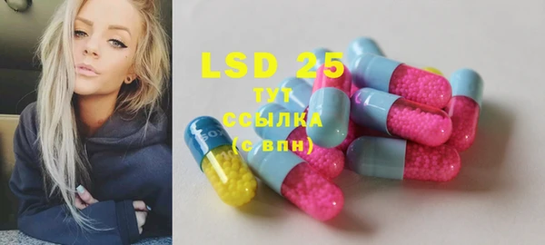 индика Абаза